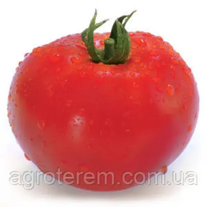 Hitomax / Хітомакс