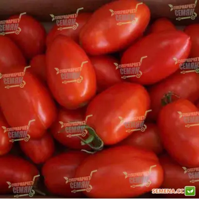 UG Red F1 / Юджі Ред F1