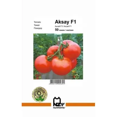 Aksay F1 / Аксай F1