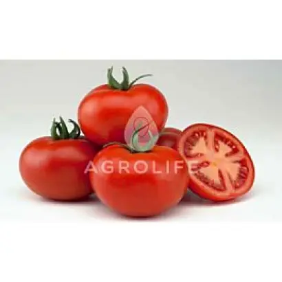 Valday / Валдай