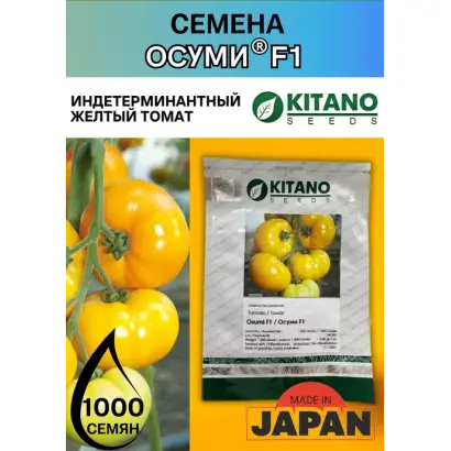 Wasino / Васіно