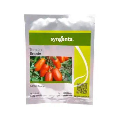 Elko F1 / Елкоу F1