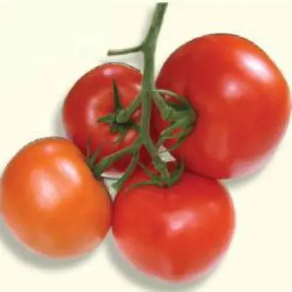 Listell F1 / Лістел F1