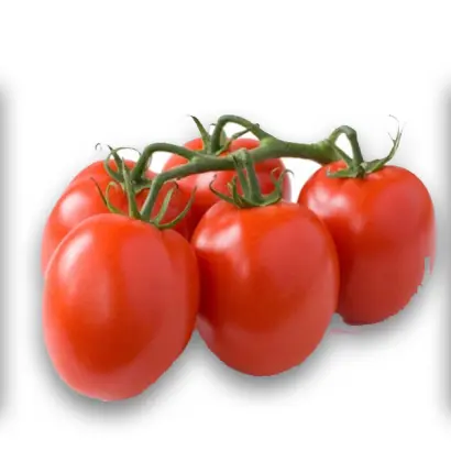 Lugas F1 / Лугаш F1