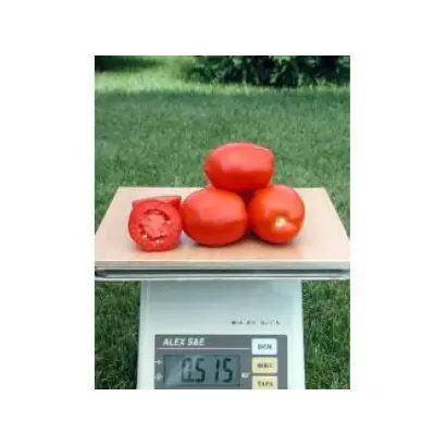 Missouri Original / Миссури Оригинал