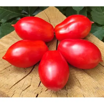 Надежда / Надєжда