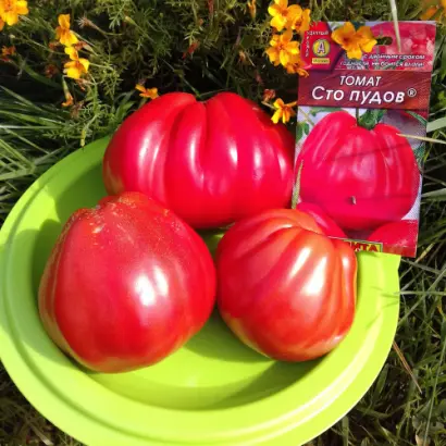 Незабудка F1