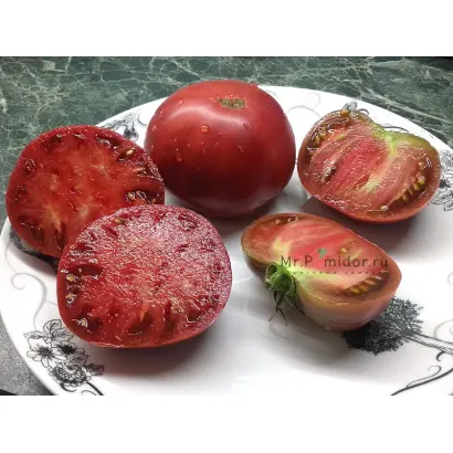 Nixarty / Ніксарті