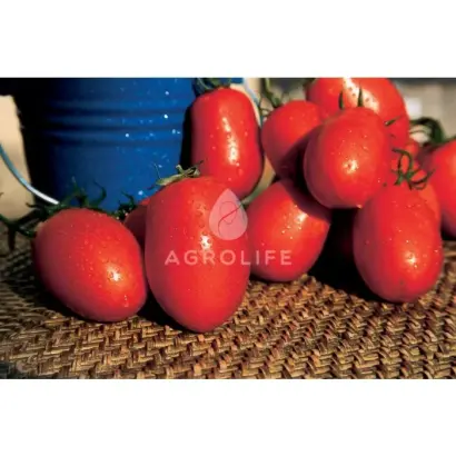 Posadas F1 / Посадас F1