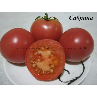 Savoryna / Саворина