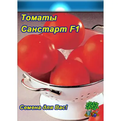 Sunstart F1 / Санстарт F1