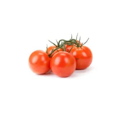 Santiana / Сантіана