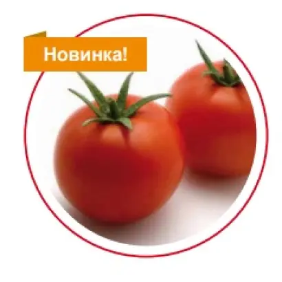 SV5215TD / СВ5215ТД