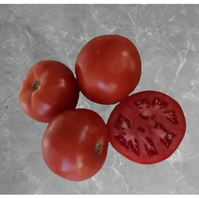 Селебрити F1