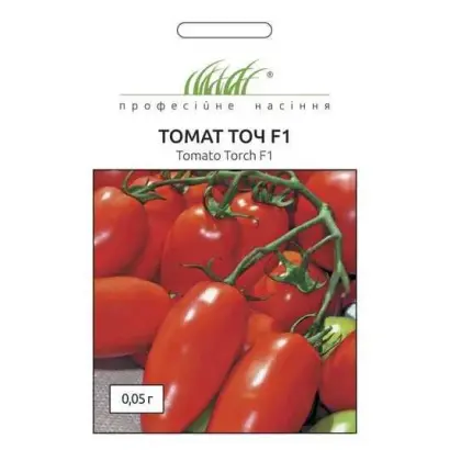 Torch F1 / Точ F1