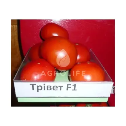 Trivet F1 / Трівет F1