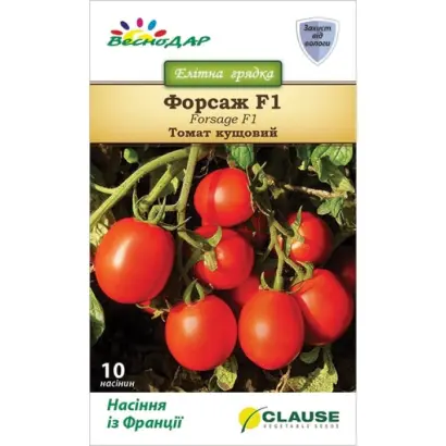 Forsag F1 / Форсаж F1