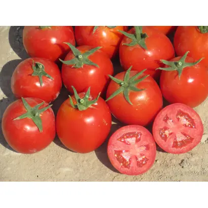 CLX 38310 / ЦЛХ 38310