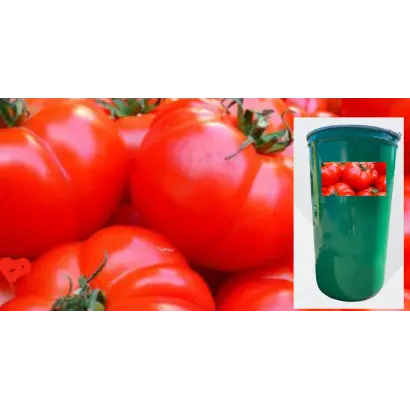 Чигиринський F1