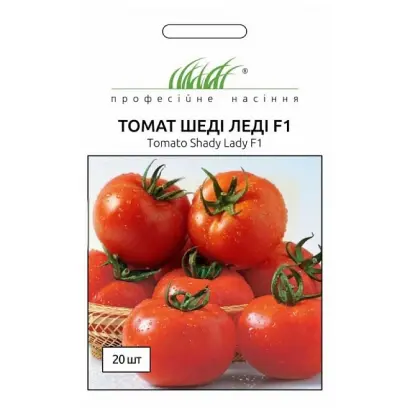 Shady Lady / Шеді Леді