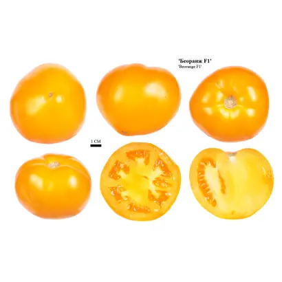 Beorange / Біоранж