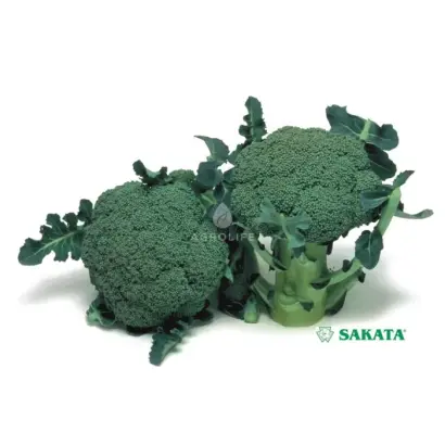 Marathon / Маратон