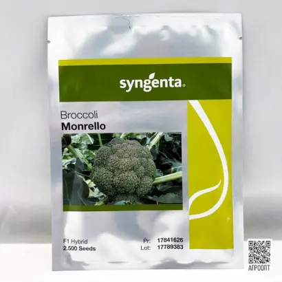 MONRELLO / МОНРЕЛЛО