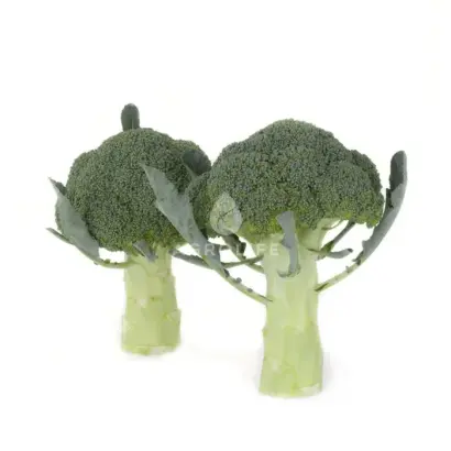 Orantes / Орантес