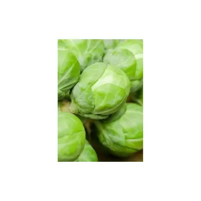 Kasiopea / Касіопея