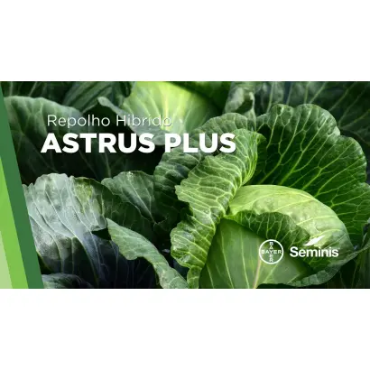 Astrus Plus / Аструс Плюс