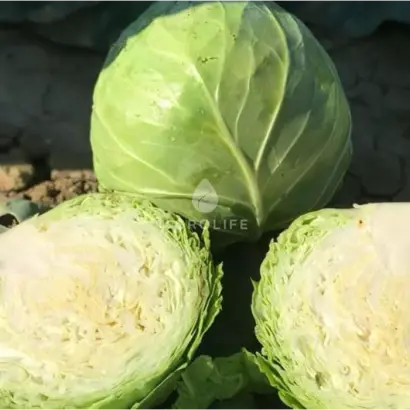 Bagradion / Баградіон