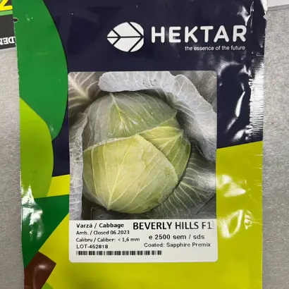 Beverly Hills / Беверлі Хілз