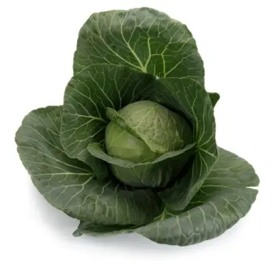 Boleroma / Болерома