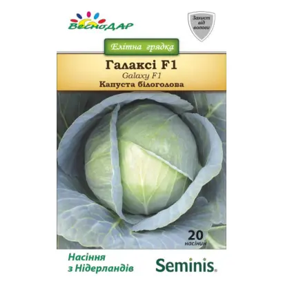 Galaxy F1 / Галакси F1