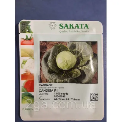 Candisa / Кандіша