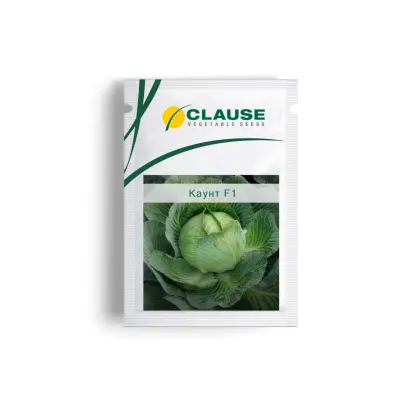 Count F1 / Каунт F1