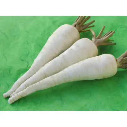 KILACEES / КІЛАСІС