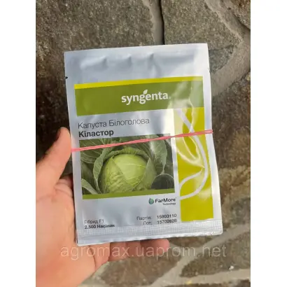 KILASTOR / КІЛАСТОР