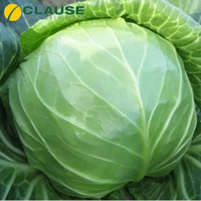 Constable / Констебль