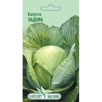 Ladora / Ладора