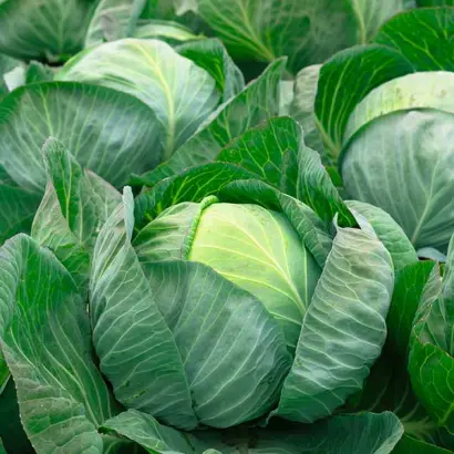 Liberator F1 / Лібератор F1