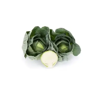 Longma / Лонгма