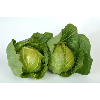 Mirror F1 / Мірор F1