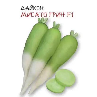 Misato F1 / Місато F1