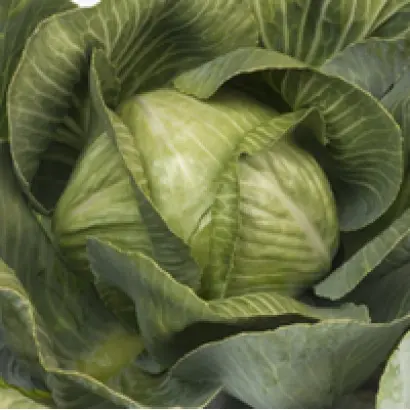 SV3389JL / СВ3389ЖЛ