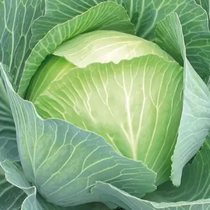 SV3404JL / СВ3404ЖЛ