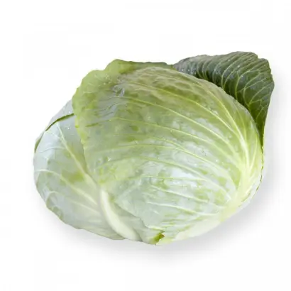 Septima / Септима