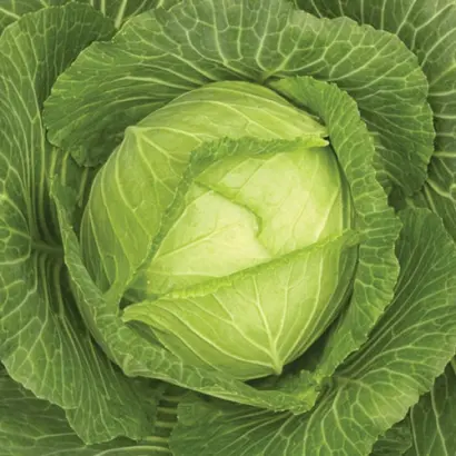 Sky Aes / Скай Ейс