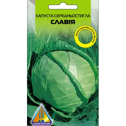 Slaviya / Славія