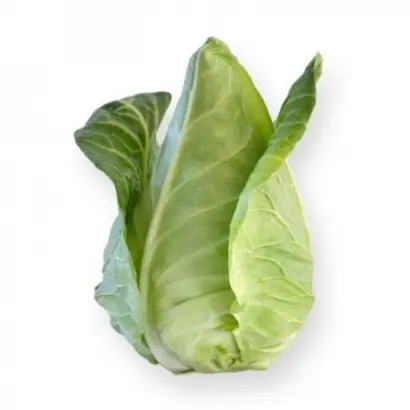 Sonsma / Сонсма